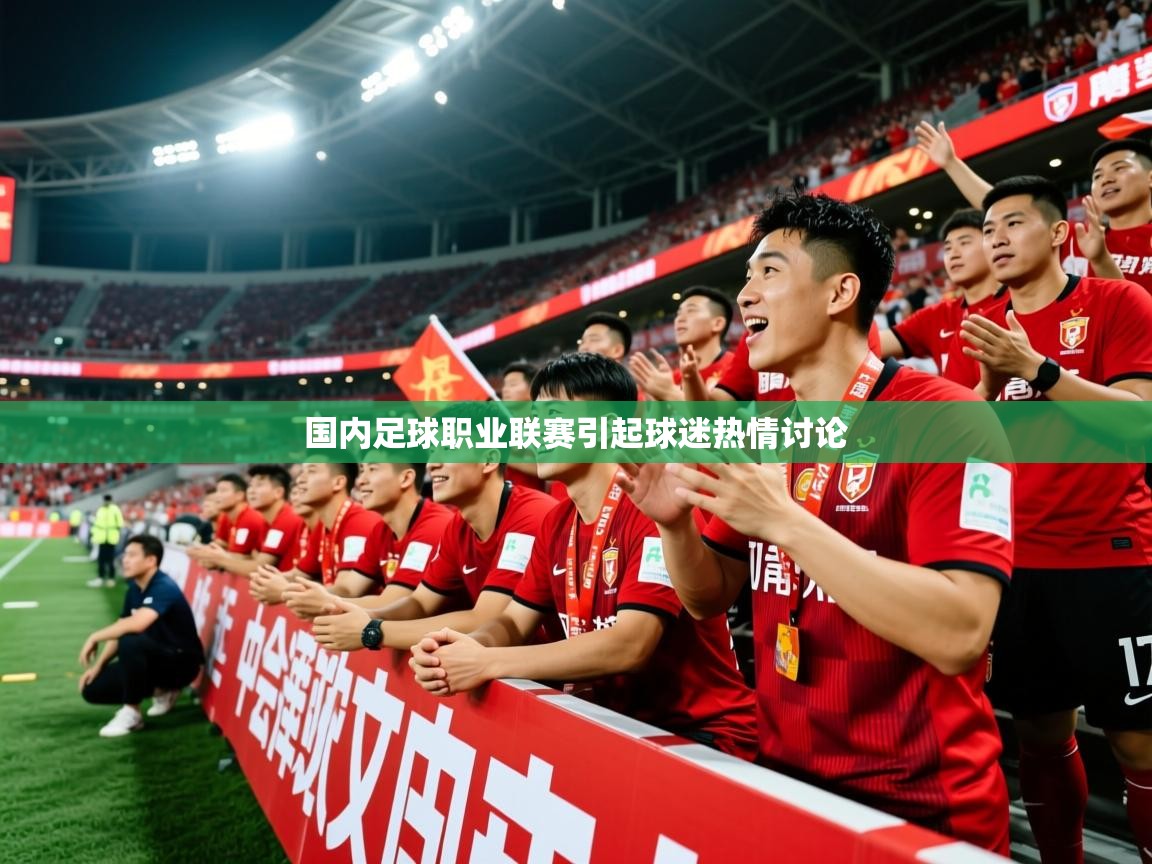 2025 极直播nba国内足球职业联赛引起球迷热情讨论  第4张