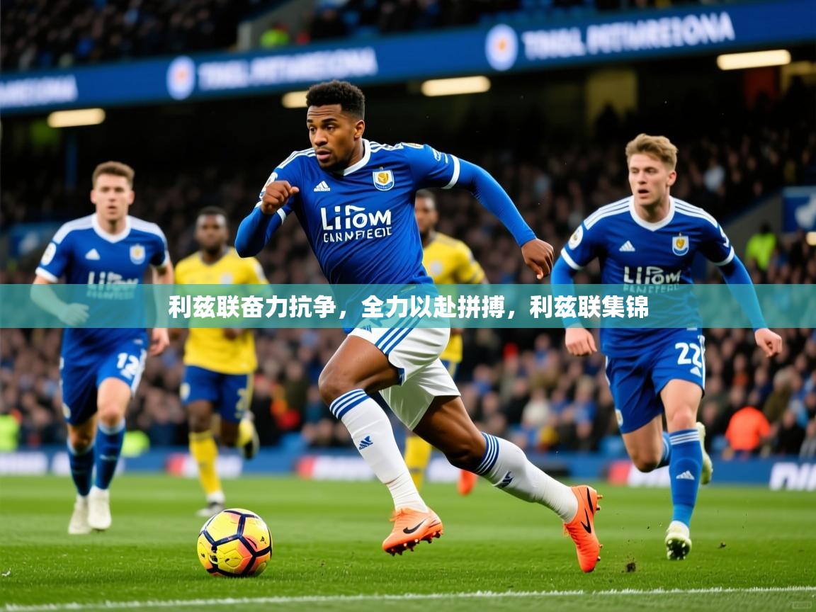 2025 极直播app利兹联奋力抗争,全力以赴拼搏,利兹联集锦 第2张