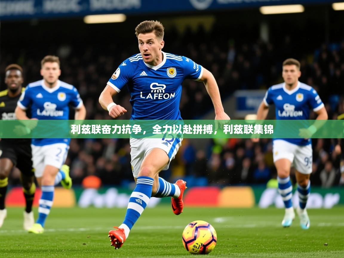 2025 极直播app利兹联奋力抗争,全力以赴拼搏,利兹联集锦 第3张